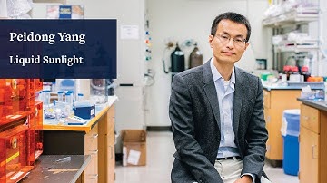 Liquid Sunlight: Peidong Yang