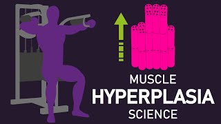 Do You Gain MORE Muscle Fibers With Training (Research Overview)