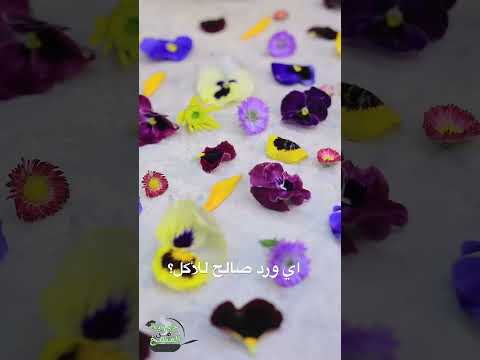اي ورد صالح للأكل       