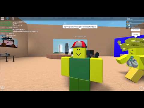 Sponge News Channel 5 | Giant Sponge