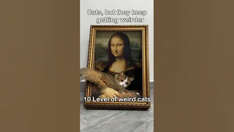 Video 8261621: persiancat siamesecat mainecoon ragdollcat, mainecoon persiancat siamesecat bengalcat, britishshorthair ragdollcat persiancat, mainecoon catlover ragdollcat, bengalcat sphynxcat