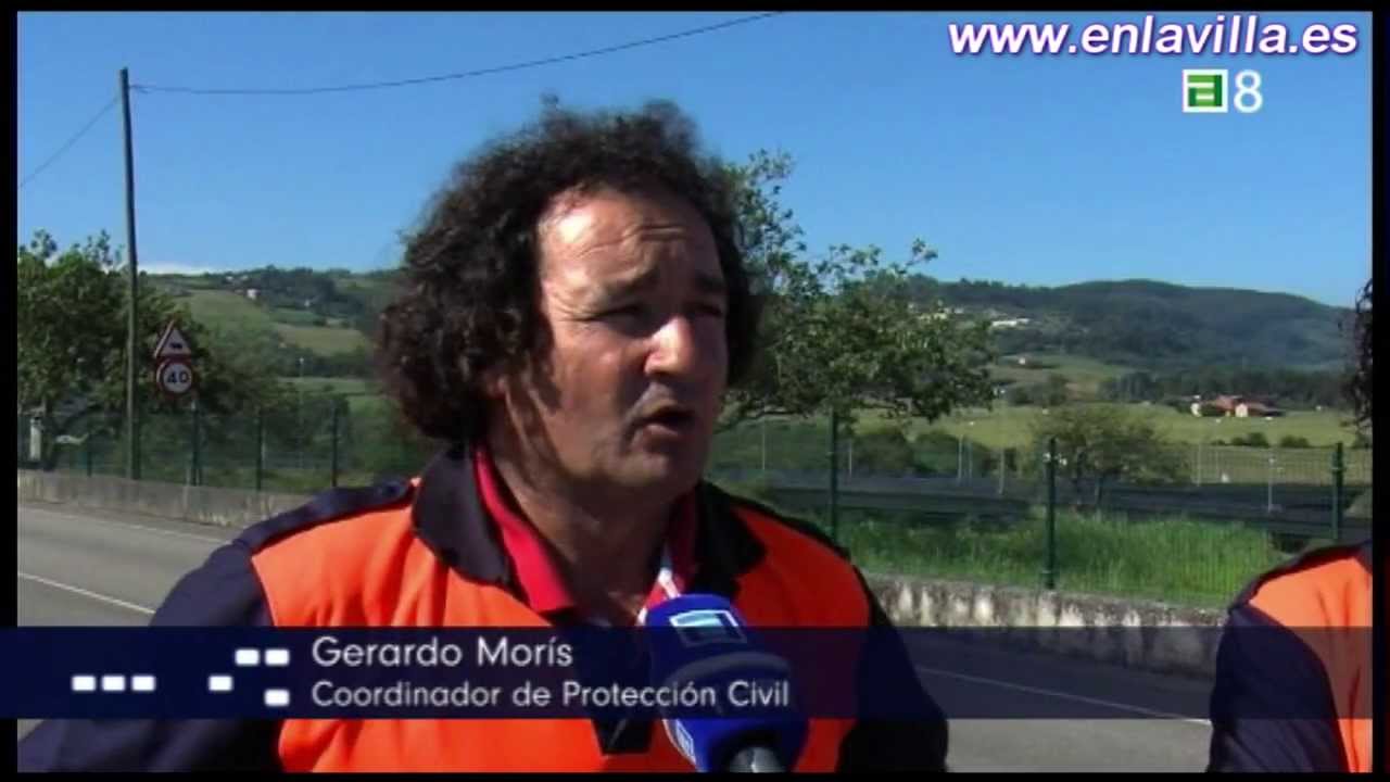 Policía Local de Villaviciosa abate a una vaca descontrolada