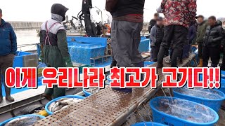 등껍질이 사포보다 거칠다! 심해에 사는 최고가 물고기를 먹어보자 !! /The best fish you can eat with bones!