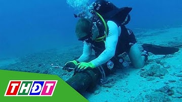 Khắc phục xong lỗi trên tuyến cáp quang biển quốc tế | THDT