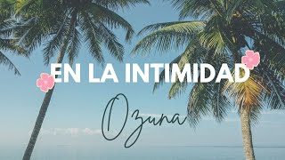 Ozuna - En La Intimidad ( Letra/Lyrics)