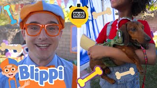 blippi s dog shpw turn s jurassic educational videos kids