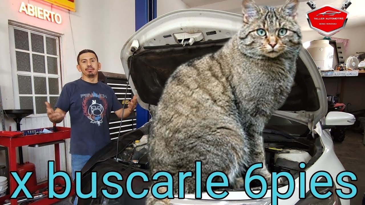 AHORA EL CLIENTE PAGARA $2000 PESOS EXTRA por ir con ESTE MECANICO ¡SALSA!