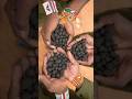 These Black Balls Can Change the World Forever 😱 #facts #hindifacts