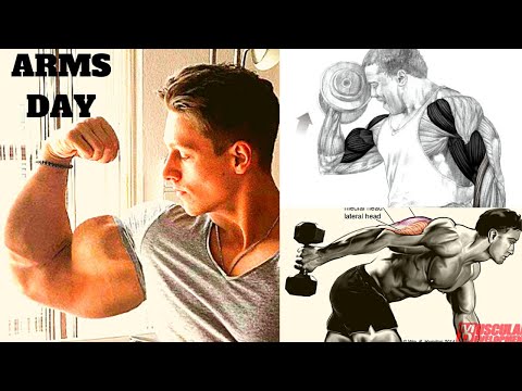 8 Best biceps and triceps workout with barbell only / SUPERSET