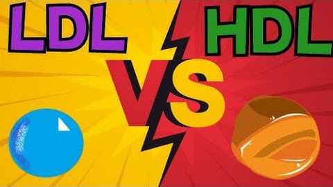 LDL VS HDL - QUICK SUMMARY