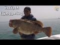 اقوى صيد جق 18 جنعدة  و هامور جامبو  -  Jigging trip 18 King Mackerel and Giant Grouper