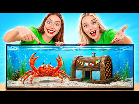 I Built the Krusty Krab for a Real Crab by Multi DO Smile