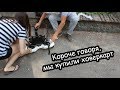 VLOG Короче говоря, мы купили ховеркарт