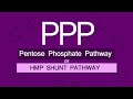 Pentose Phosphate Pathway |Simplified!| with notes | BIOVIVE