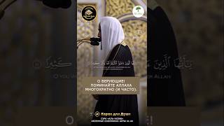 О ВЕРУЮЩИЕ! ПОМИНАЙТЕ АЛЛАХА МНОГОКРАТНО (И ЧАСТО). Ahmad Hameed and Salah Al Budair |#корандлядуши