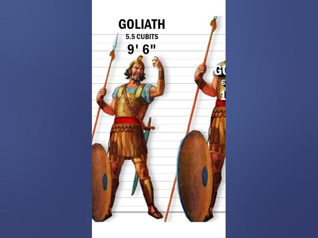 This is how tall Goliath really was!