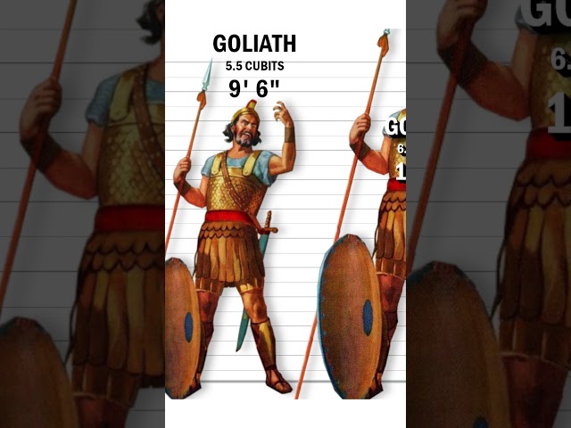 This is how tall Goliath really was! class=