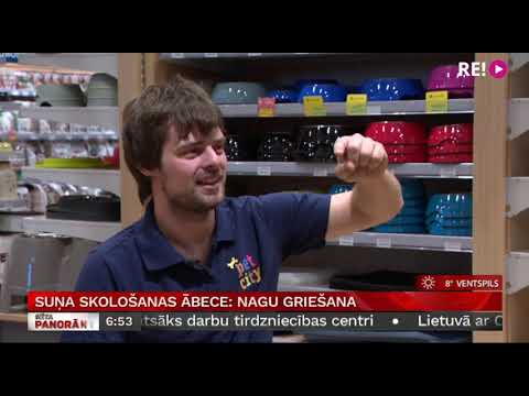 Suņa skološanas ābece: nagu griešana