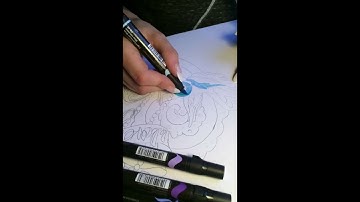 Prismacolor marker time lapse