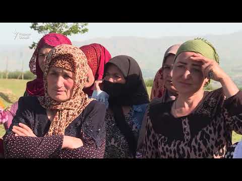 Сокинони Шаҳринав: Заҳри