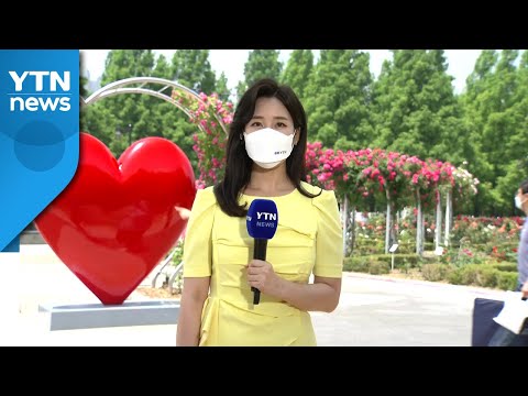 [날씨] 주말 맑고 낮 더위...강한 자외선·오존 유의 / YTN