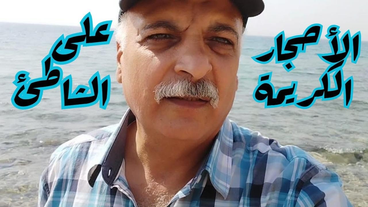 الاحجار الكريمة ورحلة البحث على الشاطيء الغنى بالاحجار