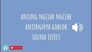 Ngejar anjingnya goblok sound effect