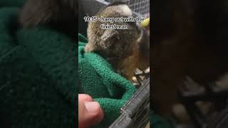 Day in the Life of a Primate Keeper- Part 1 #zoo #wildlifeexperience