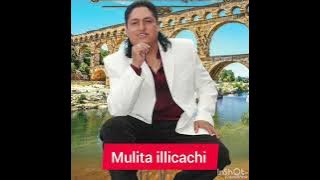 Mulita el cantor de los andes illicachi