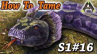 ARK TITANOBOA TAMING METHODS + TEST!! How To Tame A Titanoboa!! Ark Survival Evolved Ragnarok Ep16