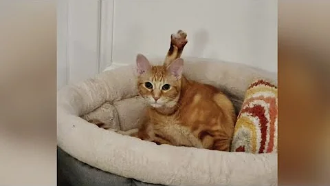 What Caught My Eye: May 21, 2023