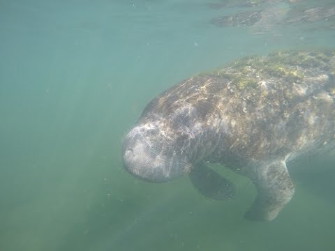 New Years Florida Trip 2017