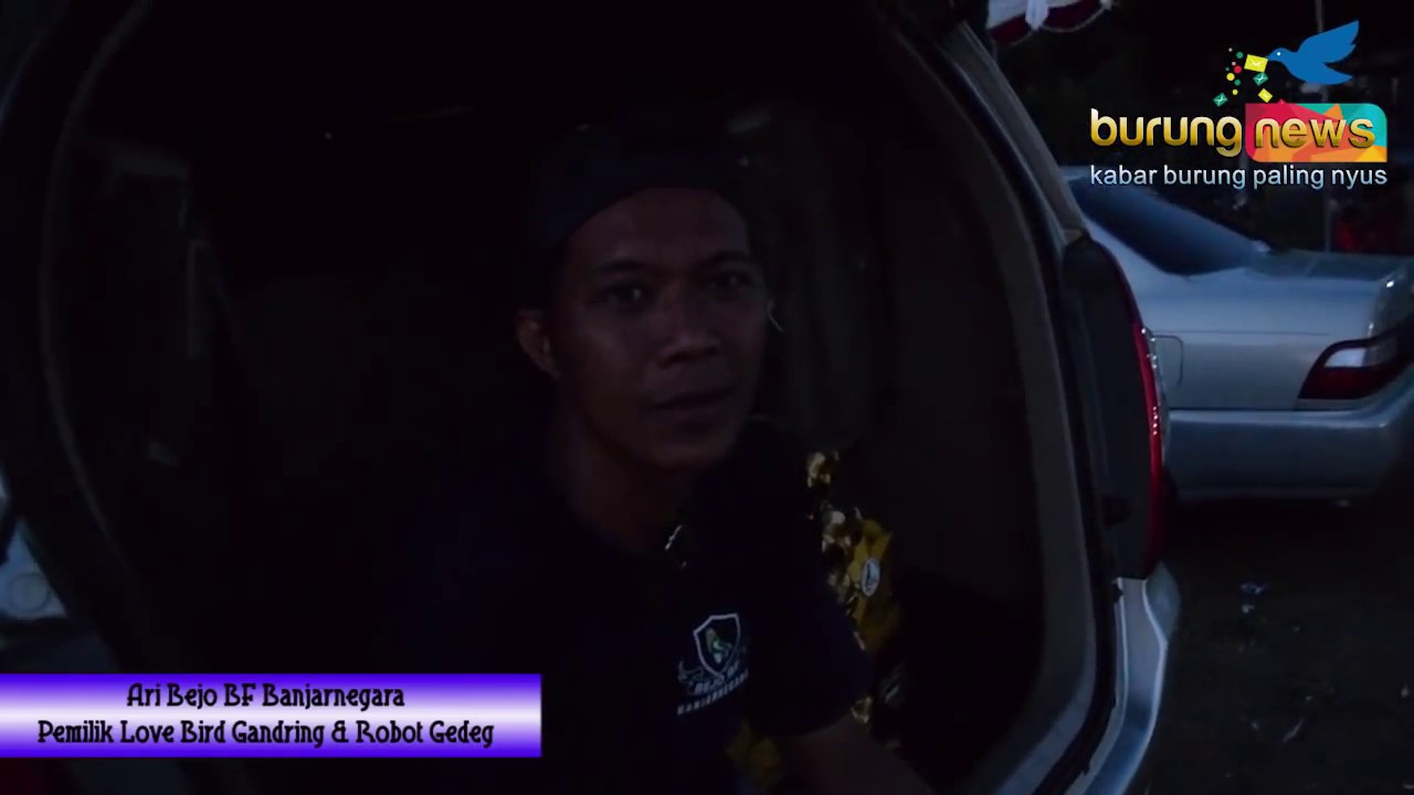 Burungnews Ari Bejo Bf Banjarnegara Beri Sinyal Agar Love Bird