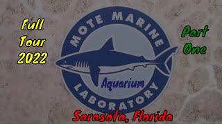 Mote Marine Laboratory & Aquarium Full Tour - Sarasota, Florida - Part One screenshot 3