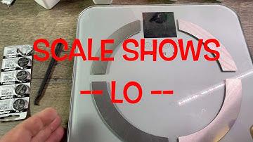 Scale shows LO