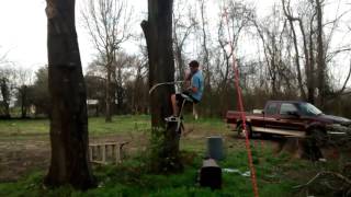Make shift tree lift