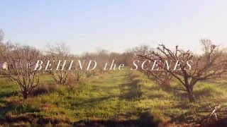 Behind The Scenes The Beekeeper