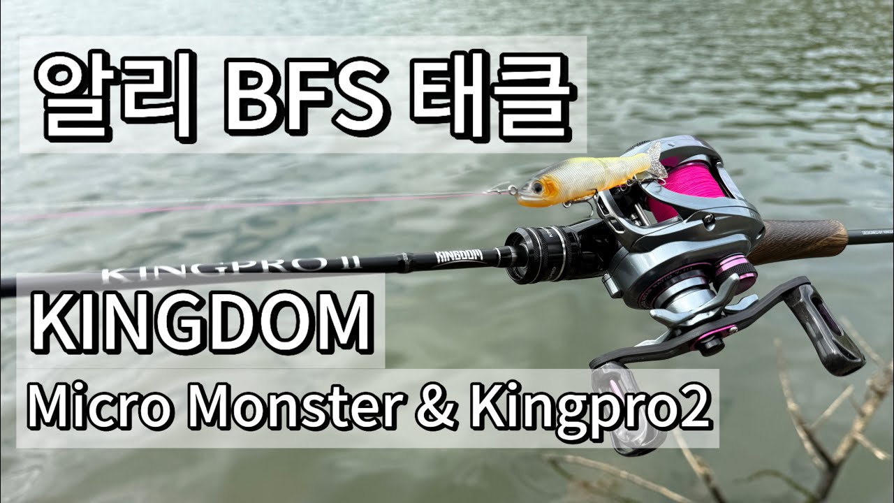 20250705 베이트피네스 배스낚시 / 알리에서 구매한 태클은 어느정도일까?