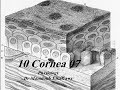 10 Cornea Part 7 فسيولوجي عيون Elkafrawy Ocular Physiology 