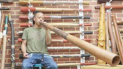 Jesse Lethbridge Didgeridoo - Key of C web (6163)
