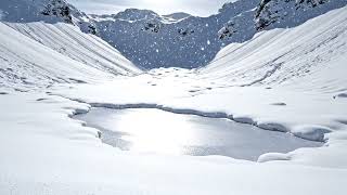 Trí Tuệ Tỏa Sáng Như Rằm Trăng Thanh