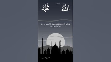 #القرآن سورة الحجرات الآية ٦-٧ عبد الباسط عبد الصمد Sourate Alhjirat Ayat6-7 Abdelbasset abdessamad
