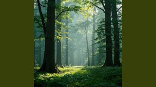 Download Lagu Kenangan Yang Abadi MP3