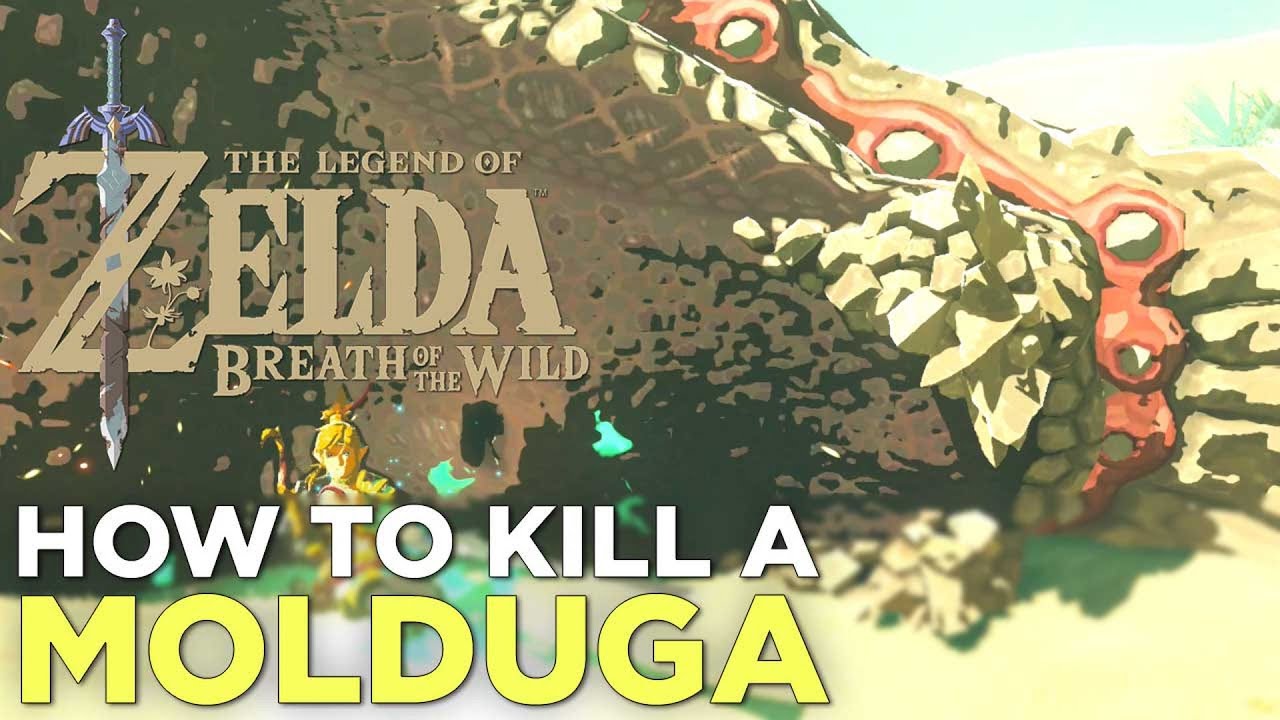 Zelda Breath Of The Wild farm Molduga (Moldarquor) - YouTube