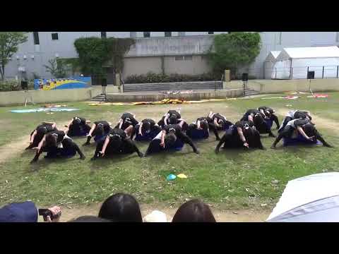 大阪大学お祭りダンスサークル祭楽人  いちょう祭  2019年  「南中ソーラン」