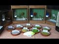 Myregio Tv Gut Hohl Hilfarth Mp3 - Mp4 Download