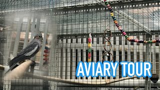 NEW AVIARY TOUR! by sanaspets 102 views 2 years ago 4 minutes, 11 seconds