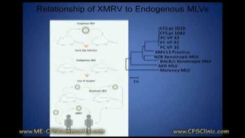 XMRV Lecture Segment 4: Retro viruses, Biomarker