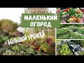 Маленький огород. Что делать? / Как увеличить продуктивность своего маленького огорода