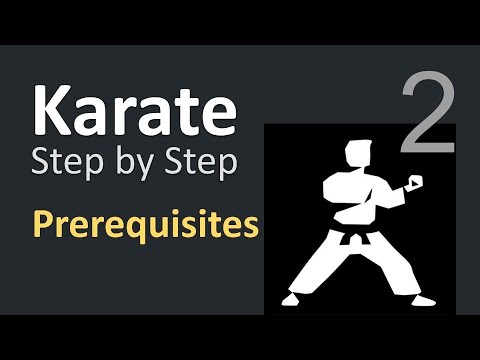 Karate Beginner Tutorials 2 | Prerequisites & Setup